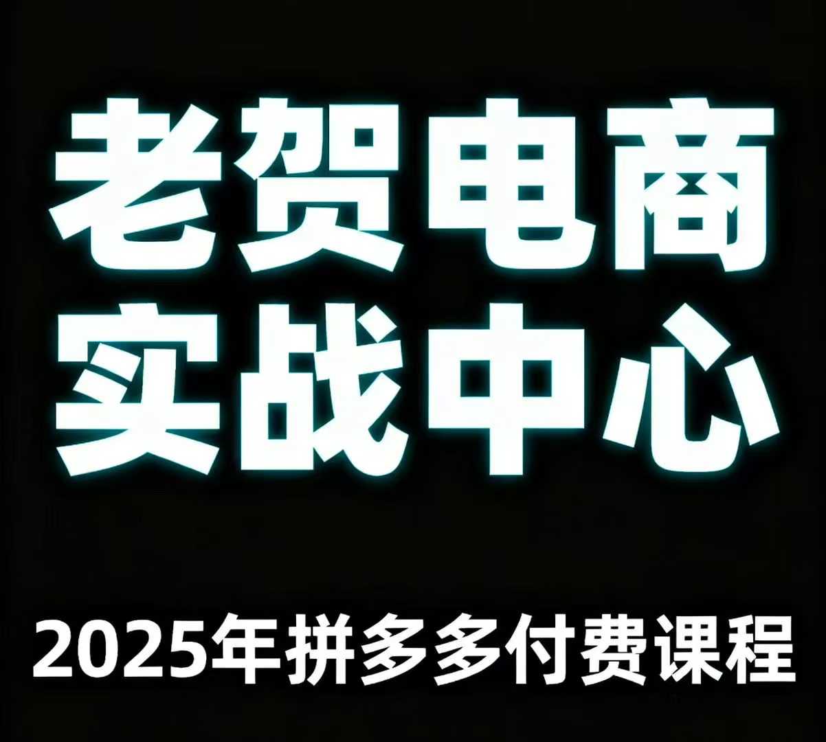 老贺电商2025年拼多多付费课程,用通俗易懂的方法告诉你多多怎么玩-大可网创
