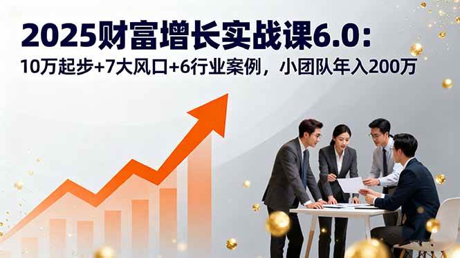 (16004期)2025财富增长实战课6.0:10万起步+7大风口+6行业案例,小团队年入200万-大可网创