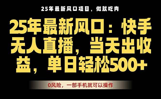 (16007期)25年最新无人直播玩法,当天秒出单,一部手机就可操作-大可网创