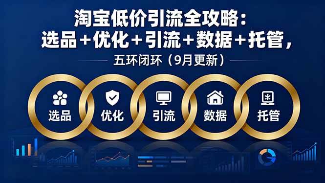 (16009期)淘宝低价引流全攻略:选品+优化+引流+数据+托管,五环闭环(9月更新)-大可网创