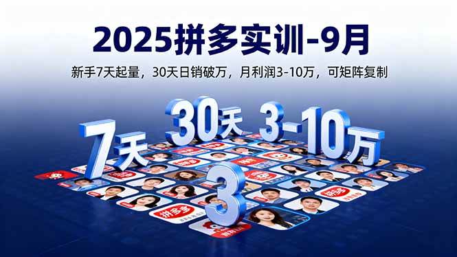 (16008期)2025拼多多实训-9月:新手7天起量,30天日销破万,月利润3-10万,可矩阵复制-大可网创