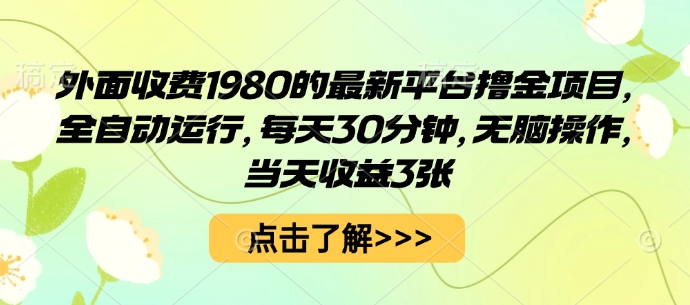 外面收费1980的最新平台撸金项目,全自动运行,每天30分钟,无脑操作,当天收益3张【揭秘】-大可网创