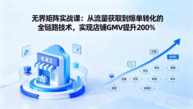 (16104期)无界矩阵实战课:从流量获取到爆单转化的全链路技术,实现店铺GMV提升200%-大可网创