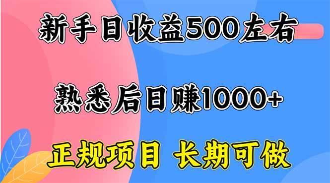 (16132期)新手日收益500+ 正规项目 长期可做-大可网创