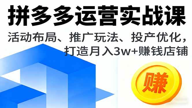 (16135期)拼多多运营实战课,活动布局、推广玩法、投产优化,打造月入3w+赚钱店铺-大可网创