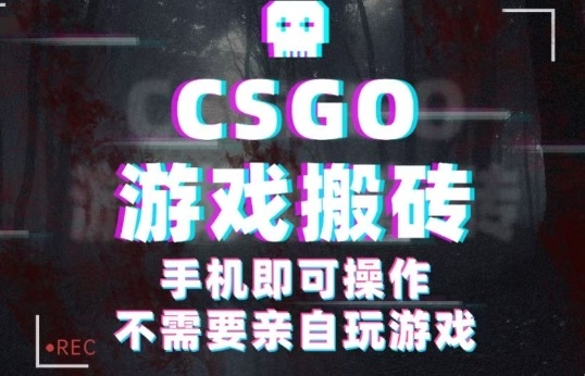 CSGO游戏挂G捡漏,单日扫货5张+,年底小高峰上车可吃肉,手机即可操作,兼职副业创业网创【揭秘】-大可网创