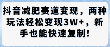 抖音减肥赛道变现,两种玩法轻松变现3W+,新手也能快速复制-大可网创