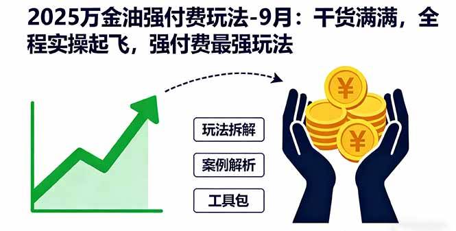 (16202期)2025万金油强付费玩法-9月:干货满满,全程实操起飞,强付费最强玩法-大可网创