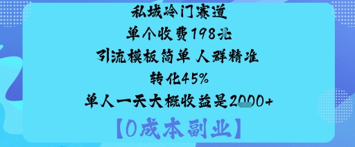 私域冷门赛道:单个收费198米引流模板简单人群精准转化45%单人一天大概收益是1k+-大可网创