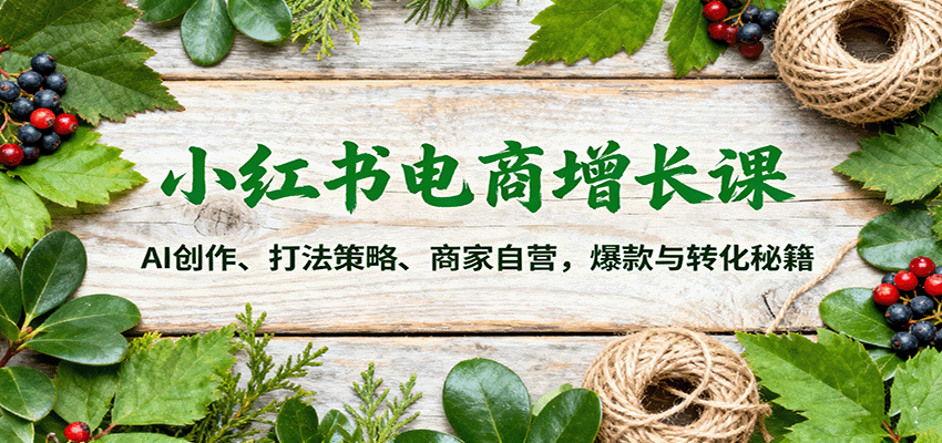 小红书电商增长课:AI创作、打法策略、商家自营,爆款与转化秘籍-大可网创
