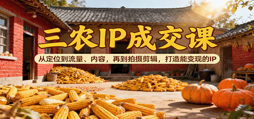 三农IP成交课:从定位到流量、内容,再到拍摄剪辑,打造能变现的IP-大可网创