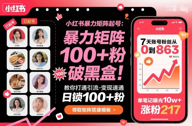 小红书暴力矩阵起号,教你打通引流-变现速通,日锁100+粉,破流量黑盒-大可网创
