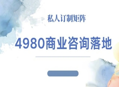 4980商业咨询师落地课程-ip运营高客单教程-大可网创