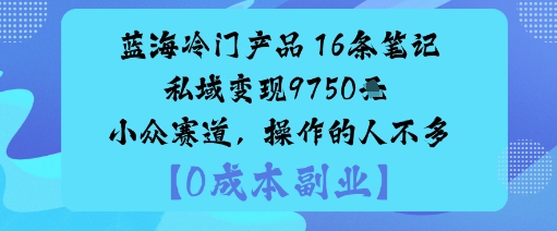 蓝海冷门产品:16条笔记私域变现9750米小众赛道,操作的人不多-大可网创