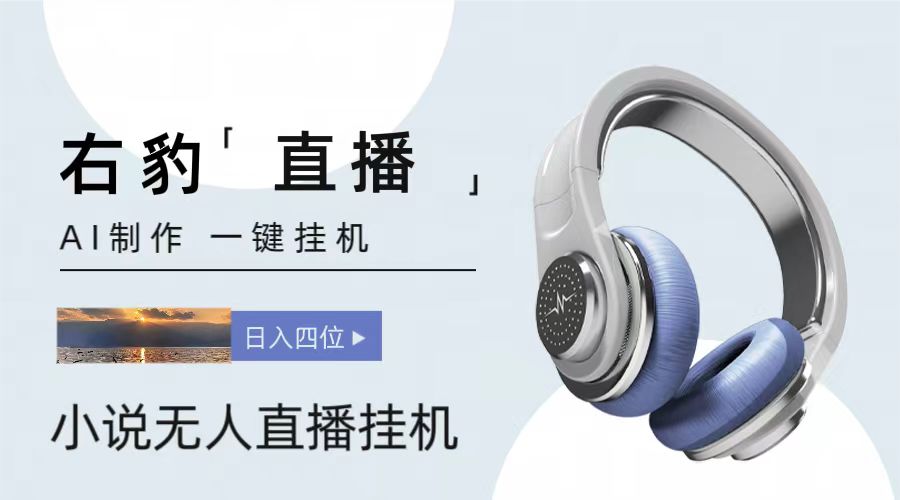 右豹小说无人直播挂机吸金项目，简单易行收益稳定， 月入1000+-大可网创