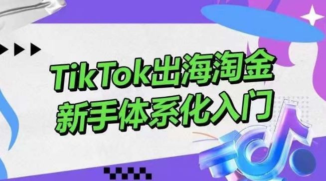 TikTok出海淘金，新手体系化入门，零基础快速入门，掌握短视频、直播带货等引流到变现的知识-大可网创
