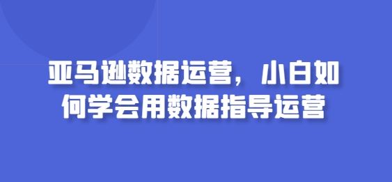 亚马逊数据运营，小白如何学会用数据指导运营-大可网创