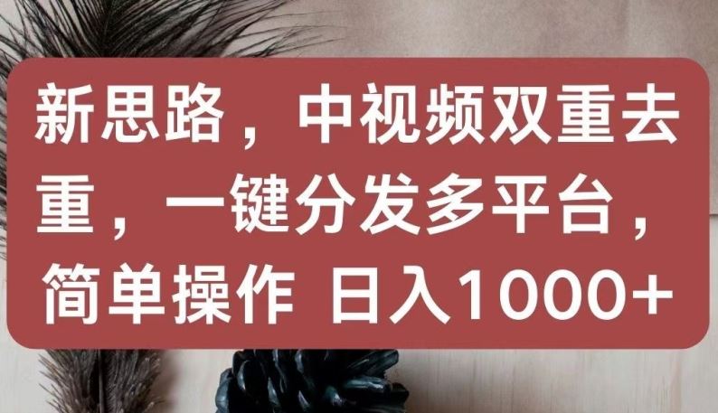新思路，中视频双重去重，一键分发多平台，简单操作，日入1000+【揭秘】-大可网创