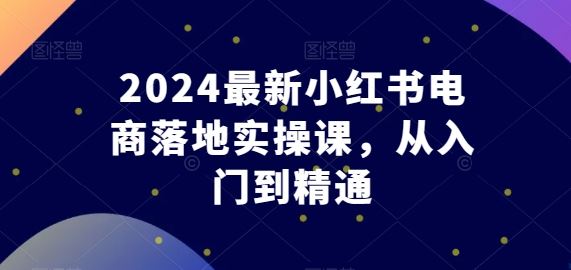 2024最新小红书电商落地实操课，从入门到精通-大可网创