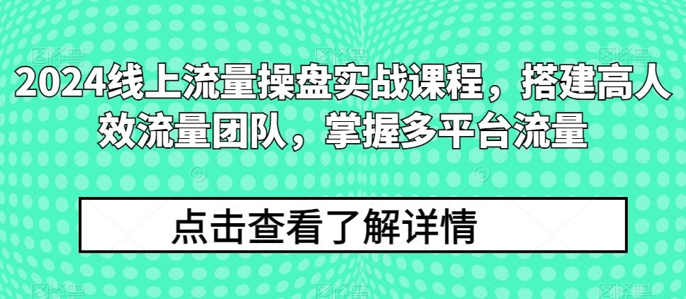 2024线上流量操盘实战课程，搭建高人效流量团队，掌握多平台流量-大可网创