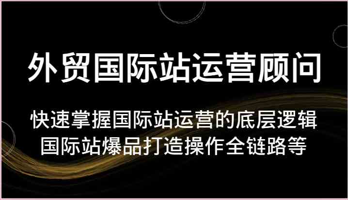 外贸国际站运营顾问-快速掌握国际站运营的底层逻辑，国际站爆品打造操作全链路等-大可网创