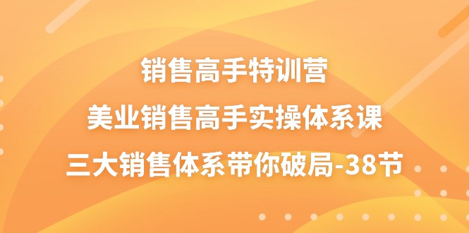 销售高手特训营，美业销售高手实操体系课，三大销售体系带你破局（38节）-大可网创
