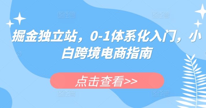 掘金独立站，0-1体系化入门，小白跨境电商指南-大可网创