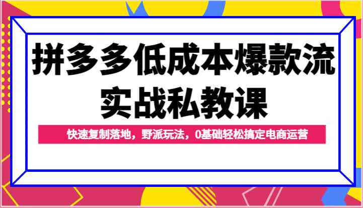 拼多多低成本爆款流实战私教课，快速复制落地，野派玩法，0基础轻松搞定电商运营-大可网创