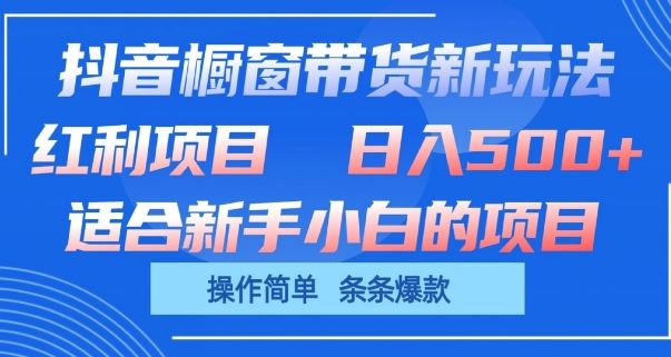 抖音橱窗带货新玩法，单日收益几张，操作简单，条条爆款【揭秘】-大可网创