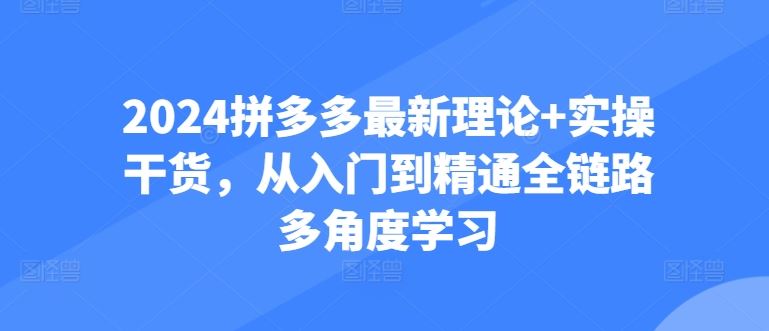 2024拼多多最新理论+实操干货，从入门到精通全链路多角度学习-大可网创