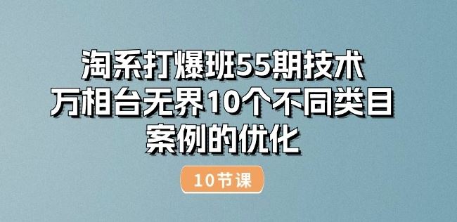 淘系打爆班55期技术：万相台无界10个不同类目案例的优化(10节)-大可网创