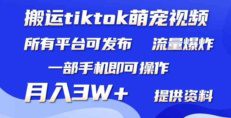 （9618期）搬运Tiktok萌宠类视频，一部手机即可。所有短视频平台均可操作，月入3W+-大可网创