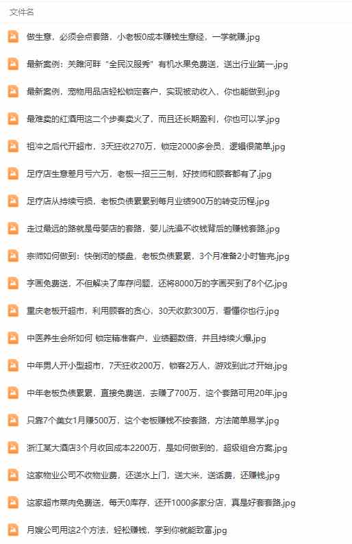 图片[5]-（9607期）真实有效391套商业模式，年入几十到几百万案例解析（电子书+视频+图文）-大可网创