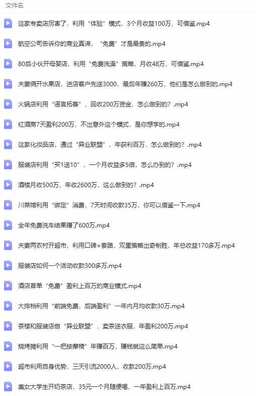 图片[8]-（9607期）真实有效391套商业模式，年入几十到几百万案例解析（电子书+视频+图文）-大可网创