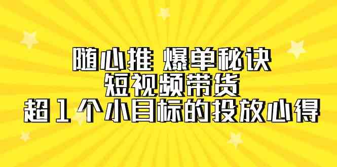 （9687期）随心推 爆单秘诀，短视频带货-超1个小目标的投放心得（7节视频课）-大可网创
