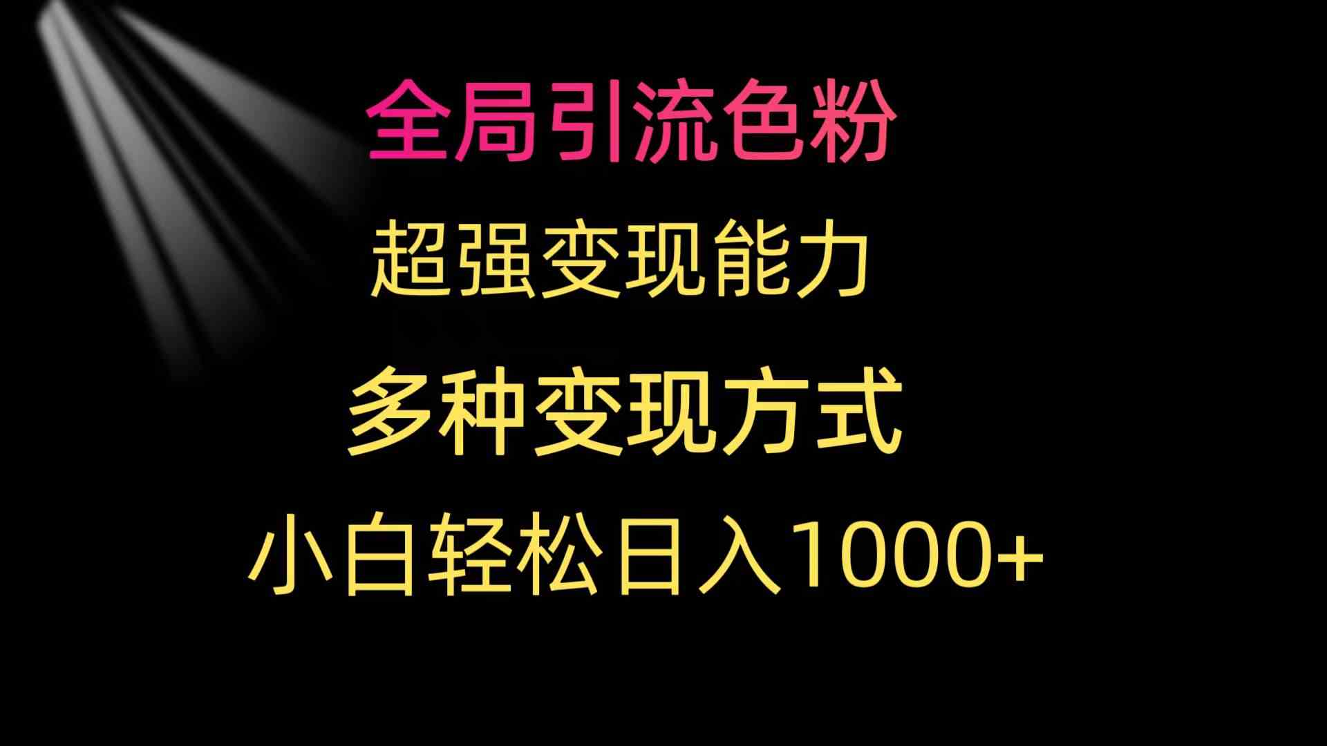 （9680期）全局引流色粉 超强变现能力 多种变现方式 小白轻松日入1000+-大可网创