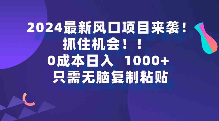 （9899期）2024最新风口项目来袭，抓住机会，0成本一部手机日入1000+，只需无脑复…-大可网创