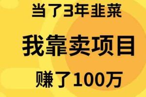（10149期）当了3年韭菜，我靠卖项目赚了100万-大可网创
