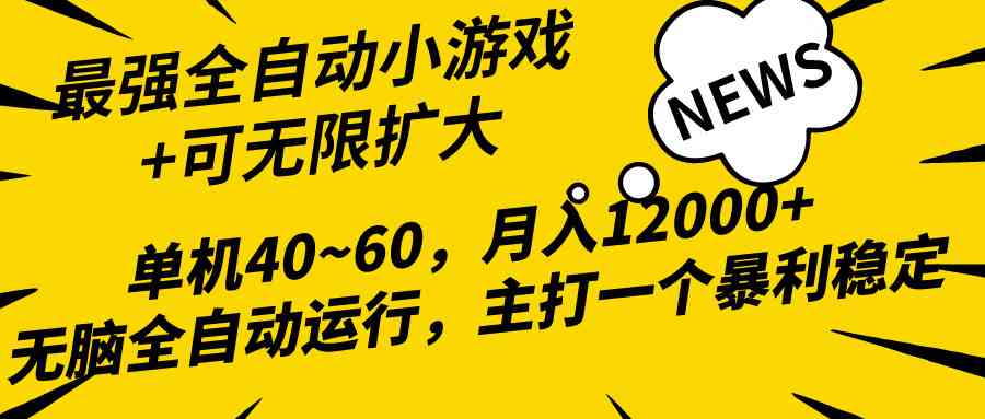 （10046期）2024最新全网独家小游戏全自动，单机40~60,稳定躺赚，小白都能月入过万-大可网创