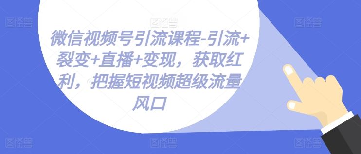 微信视频号引流课程-引流+裂变+直播+变现，获取红利，把握短视频超级流量风口-大可网创