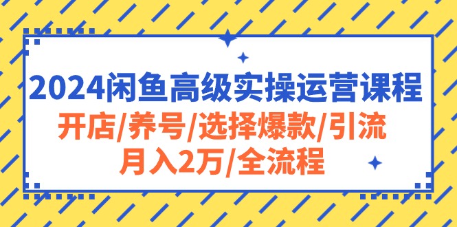 （10711期）2024闲鱼高级实操运营课程：开店/养号/选择爆款/引流/月入2万/全流程-大可网创
