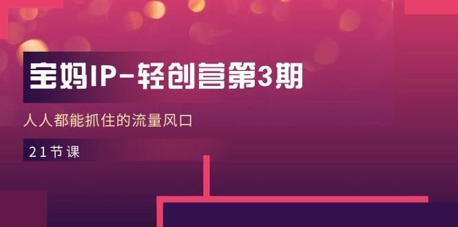 （11042期）宝妈IP-轻创营第3期，人人都能抓住的流量风口（21节课）-大可网创