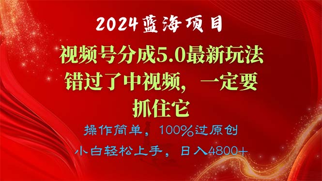 （11032期）2024蓝海项目，视频号分成计划5.0最新玩法，错过了中视频，一定要抓住…-大可网创