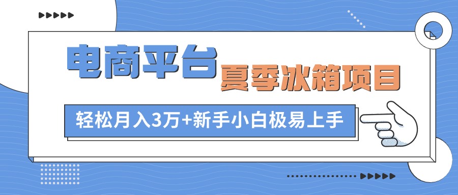 （10934期）电商平台夏季冰箱项目，轻松月入3万+，新手小白极易上手-大可网创