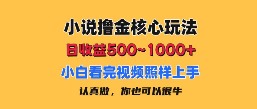 （11461期）小说撸金核心玩法，日收益500-1000+，小白看完照样上手，0成本有手就行-大可网创