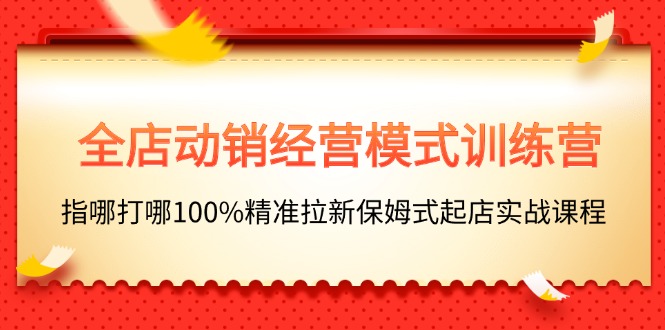 （11460期）全店动销-经营模式训练营，指哪打哪100%精准拉新保姆式起店实战课程-大可网创