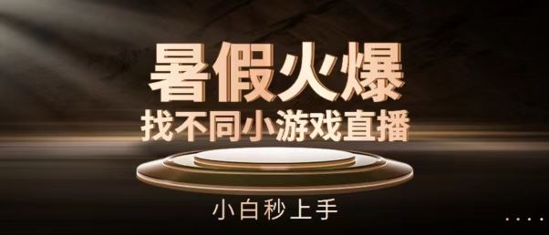 暑假火爆找不同小游戏直播间，小白秒上手【揭秘】-大可网创