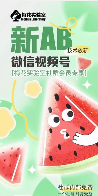 梅花实验室2024年AB技术视频号AB合成破解版-大可网创