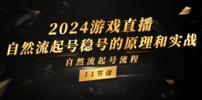 （11653期）2024游戏直播-自然流起号稳号的原理和实战，自然流起号流程（11节）-大可网创