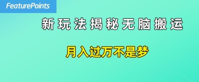简单操作，每天50美元收入，搬运就是赚钱的秘诀【揭秘】-大可网创